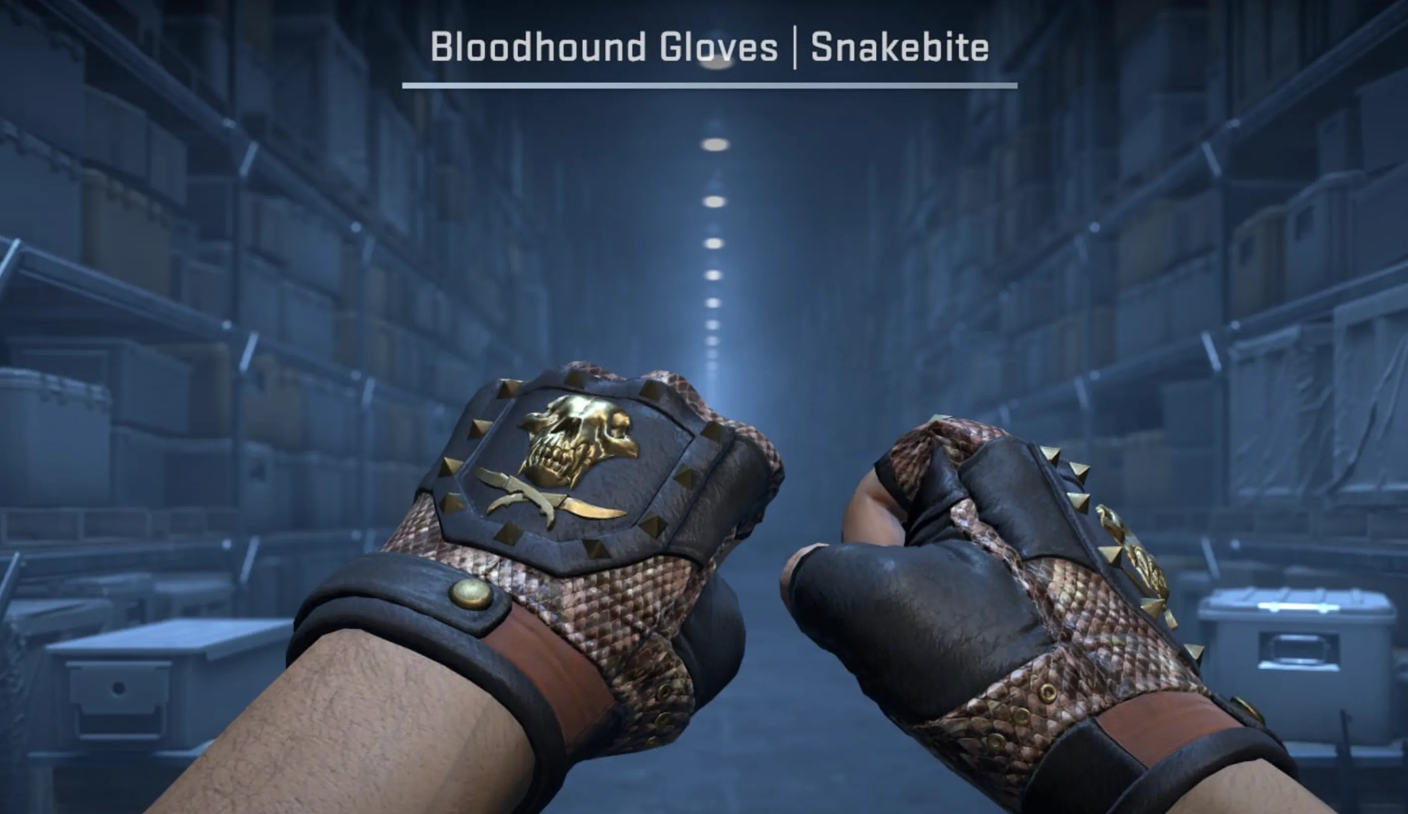 Bloodhound Gloves Snakebite